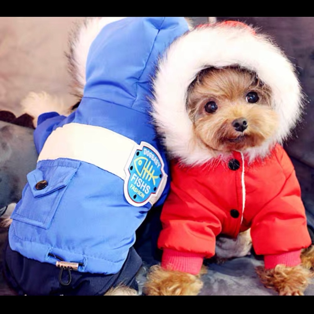 50% off sale! 🎄4 leg pet clothes sports hoodie snow sweater jacket clothing